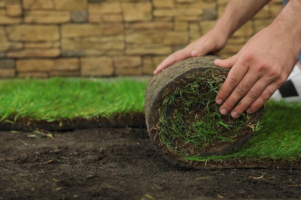Sod Installation