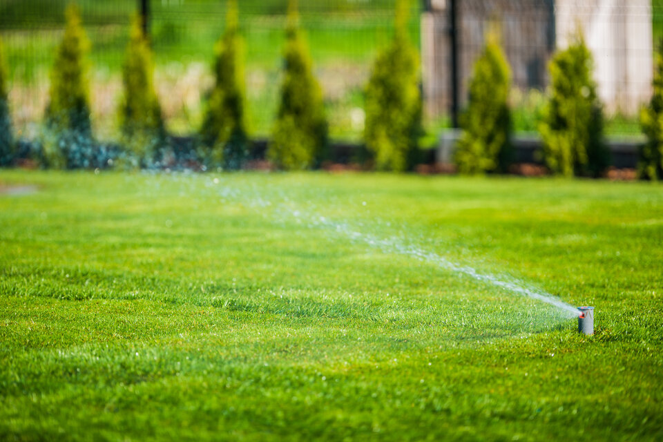 Sod Maintenance